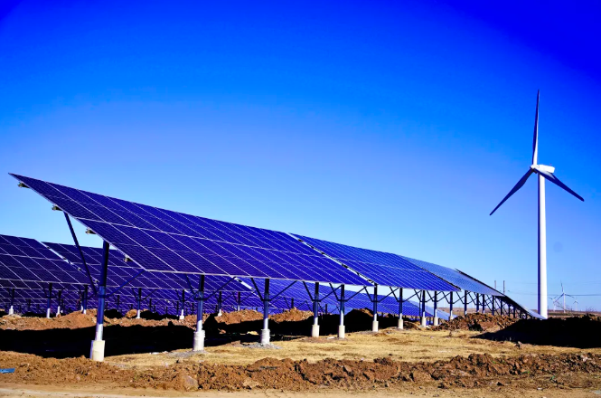 1731491002765115.png image.png