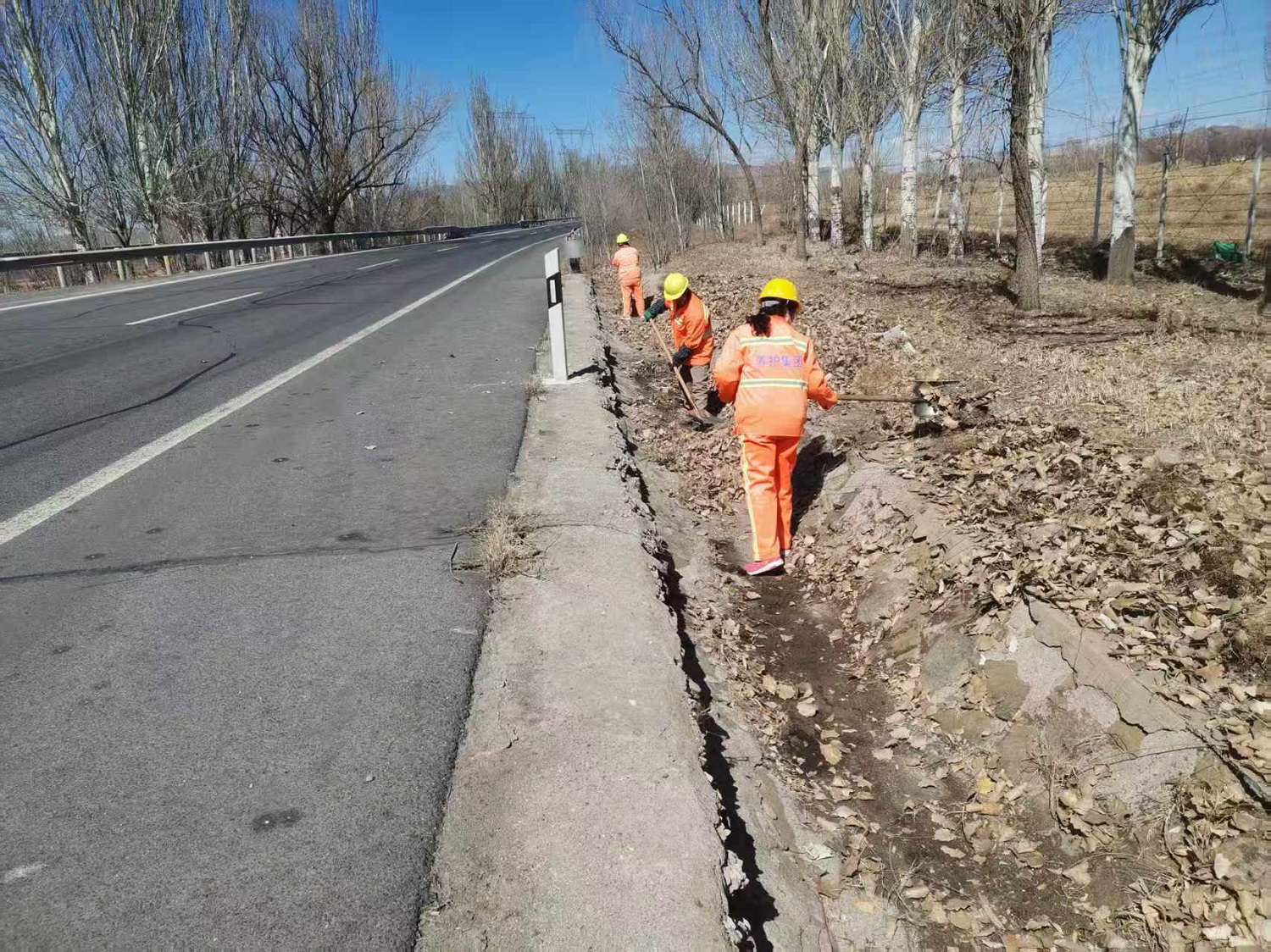 1743643100749397.jpg 1.jpg